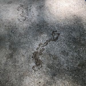 Meet your Posher, Mandy